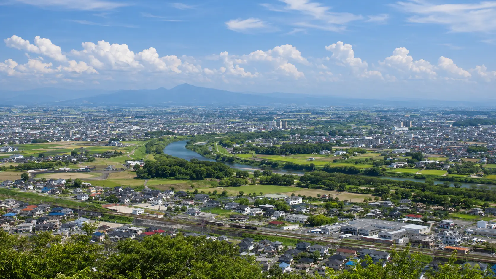 エリア